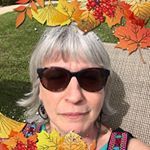 Profile Picture of Lisa Saperstein (@senorasap) on Instagram