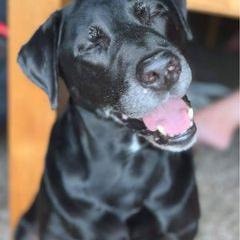 Profile Picture of Louanne Schroeder (@@louanneschroeder) on Tiktok