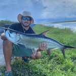 Profile Picture of Mario Crespo🎣🎣 (@fishing_the_305) on Instagram