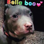 Profile Picture of Ava Leigh Thomas (@thomavaleigh) on Instagram