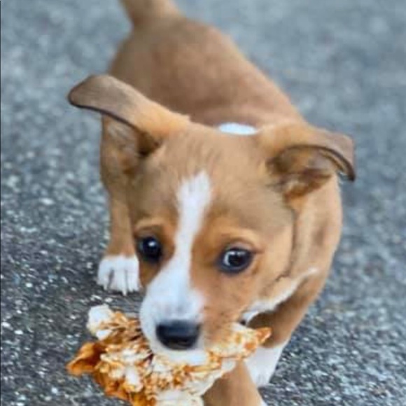 Profile Picture of Peggy Foore (@peggyrf) on Poshmark