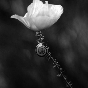 City, State Br Joon - Myspace Profile Picture of City, State Br Joon (@kenziner) on Myspace