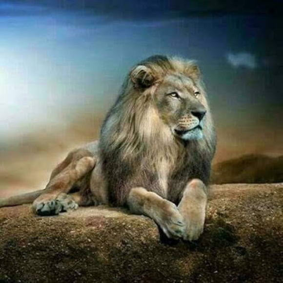 Profile Picture of Jean Jimmy (@jimmyjean3317) on Poshmark