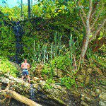 Profile Picture of Pietro (Peter) (@pietro.di.diodato) on Instagram