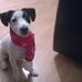 Profile Picture of Rita Fitzpatrick (@rita.fitzpatrick.140) on Facebook