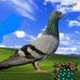 Profile Picture of Navinkumar Desai (@navinkumar.desai) on Facebook