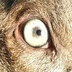 Profile Picture of Julia Reardon (@reardon9876) on Instagram