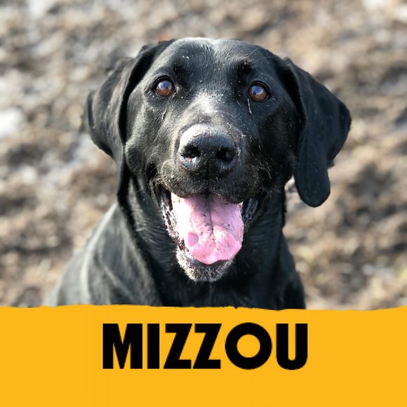 Profile Picture of Amy Byergo (@byergo) on Poshmark