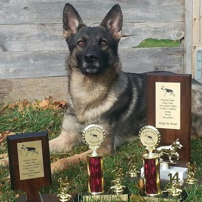 Profile Picture of Robert De Nicola (@RobertDeNicola2) on Twitter