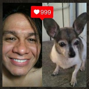 Profile Picture of Frank X Flores (@19flores71) on Myspace