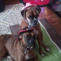 Profile Picture of Kathy Gagnon (@kathy-gagnon-23) on Quora