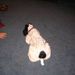 Profile Picture of Joyce Walpole (@jawalpole) on Pinterest