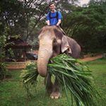 Profile Picture of Joshua Minter (@mintyfresh70997) on Instagram