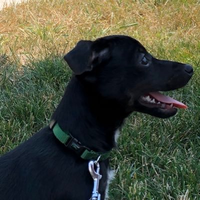 Profile Picture of Jacob Calvert (@TACOCALVERT) on Twitter
