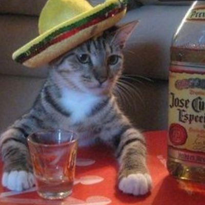 Profile Picture of Polly Daniel (@pollydaniel) on Twitter