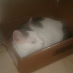 Profile Picture of Bobby Whitener (@bobby_whitener) on Instagram