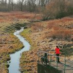 Michał Helman - Instagram Profile Picture of Michał Helman (@michal.helman) on Instagram