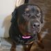 Profile Picture of Marilyn Fenner (@marilyn.fenner) on Facebook