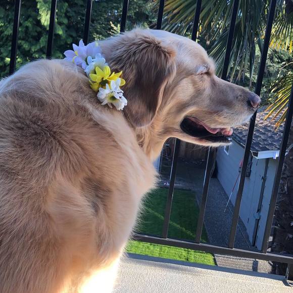 Bailey Keith - Poshmark Profile Picture of Bailey Keith (@baileykeith6_) on Poshmark