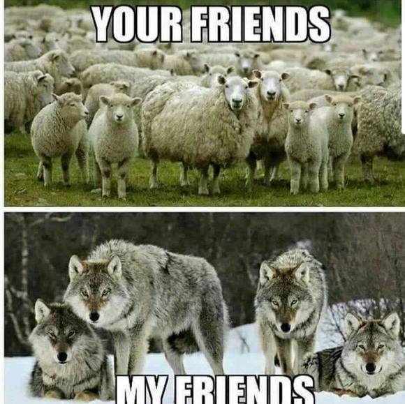 Profile Picture of Michael Spurgeon (@michaelspurg484) on Poshmark