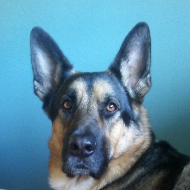 Profile Picture of leodurocher22 (@leolepros22) on Tiktok