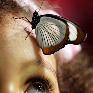 Profile Picture of Antonio Mendivil (@elmendivil) on Myspace