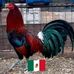 Profile Picture of Mike Gudiño (@mike.gudino.104) on Facebook
