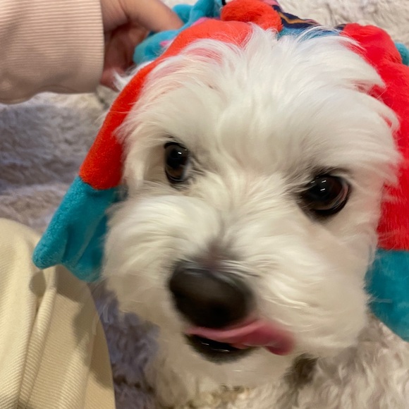 Profile Picture of Crystal Cheng (@clxryst) on Poshmark