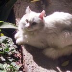 Profile Picture of Concha Ramirez (@ramirez__concha) on Instagram