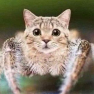 Profile Picture of Austin Muller (@austin.muller_) on Instagram