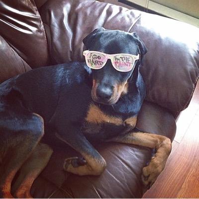 Matt Franca - Twitter Profile Picture of Matt Franca (@moneymatt187) on Twitter