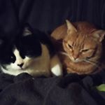 Profile Picture of Eva belen Andreu garcia (@evabelenandreu) on Instagram