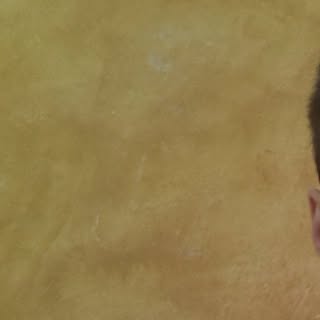 Profile Picture of Robert Van (@van.robert) on Instagram