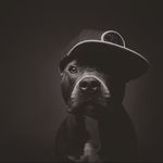 Profile Picture of Celine Meyer (@nachothepitti) on Instagram
