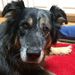 Profile Picture of Jason Allyn-Schwerin (@allynschwerin) on Pinterest