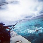 Profile Picture of Ming Choi (@mingasaurus_rex) on Instagram