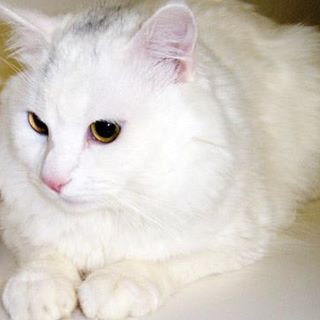 Profile Picture of Bianca Barner (@bianca.barner.75) on Facebook