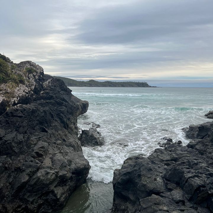 Profile Picture of Brad (@bradtremblay) on Tiktok