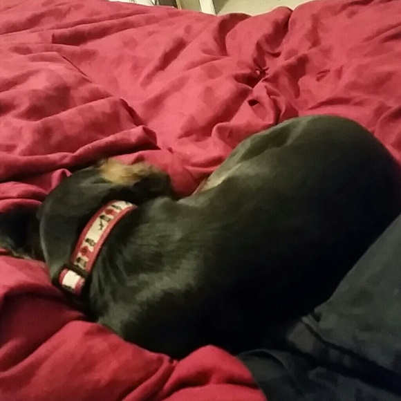 Profile Picture of Kristy Simank (@luckygreen007) on Poshmark