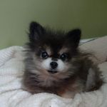 Profile Picture of Annette Anderson (@hunter6641) on Instagram