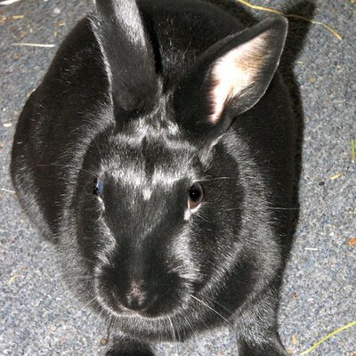 Profile Picture of Bun E. Carlos, Esq. (@BunECarlosEsq) on Twitter