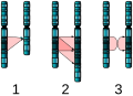 Profile Picture of Mutationon Wikipedia
