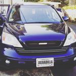 Profile Picture of luis nieves (@luissnow34) on Instagram