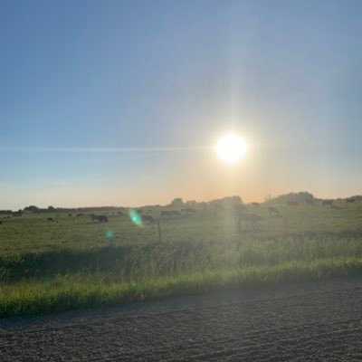 Profile Picture of Cody Chapple (@CodyChapple2) on Twitter