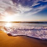 Profile Picture of Davide Pennisi (@davide.pennisi) on Instagram