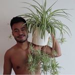 Profile Picture of Christian 🤪🌿🧔🏻 (@crazyplantguy) on Instagram