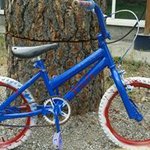 Profile Picture of Jake Bruce Ledoux (@swissin_bacon) on Instagram