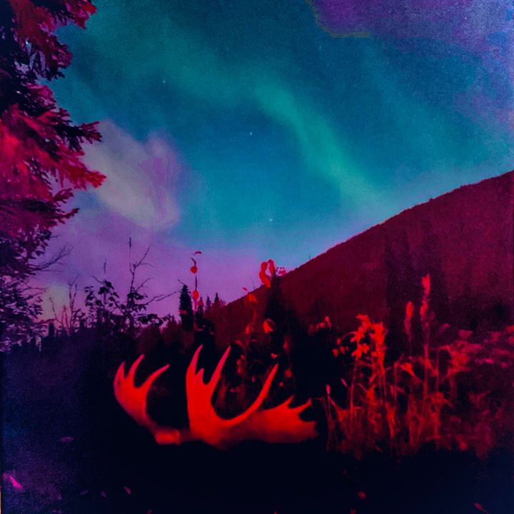 George Sam - Tiktok Profile Picture of George Sam (@george.samuelson) on Tiktok