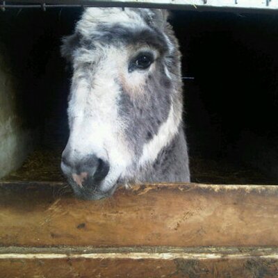Profile Picture of Ben Lowther (@blowther1) on Twitter