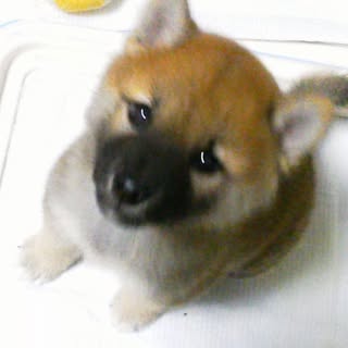 Tsutomu Okuda - Instagram Profile Picture of Tsutomu Okuda (@tsutomuokuda) on Instagram